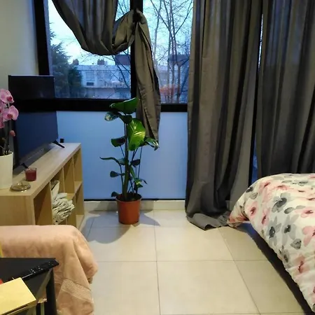 De L'orchidee